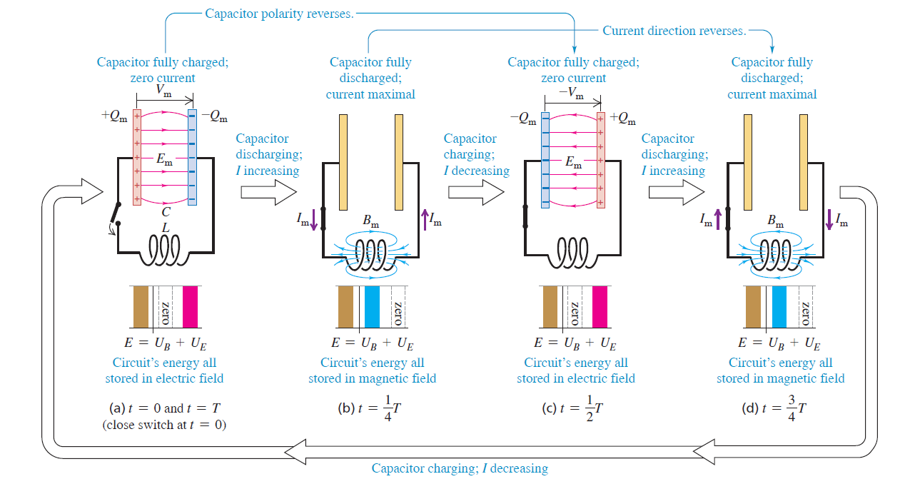 PHYS 102- General Physics II - Final (S2025)